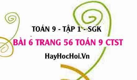Bài 6 trang 56 Toán 9 tập 1 Chân trời sáng tạo
